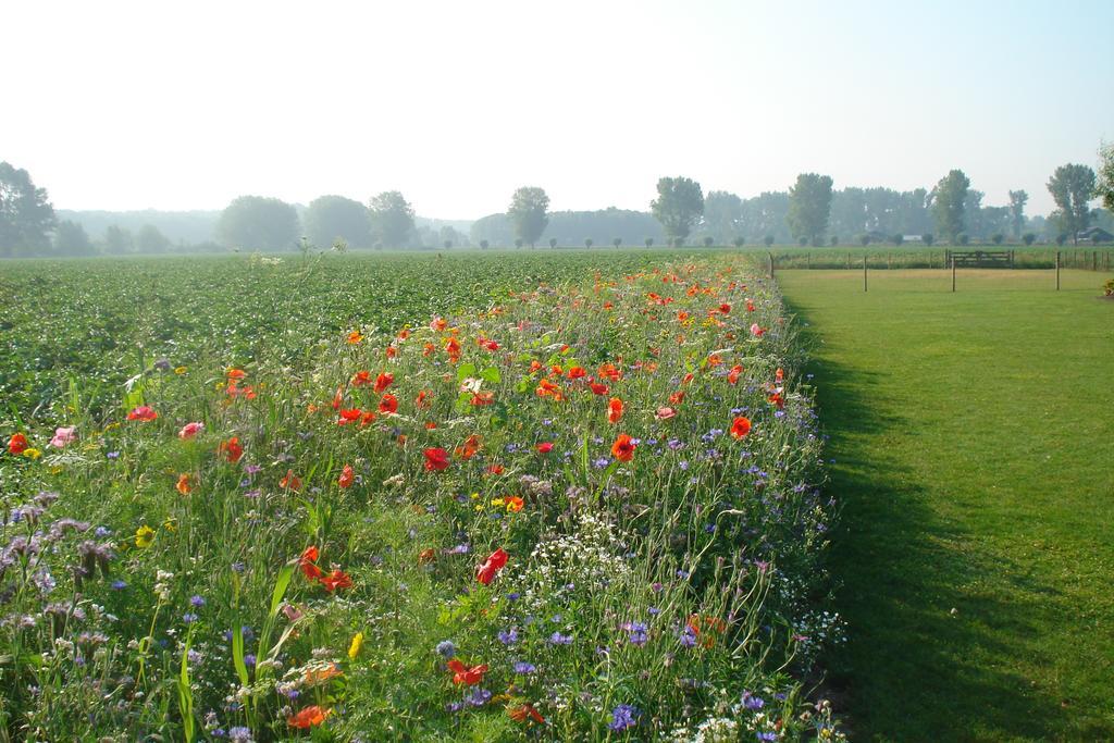 Lodgerie Het Groene Geheim Almere Extérieur photo