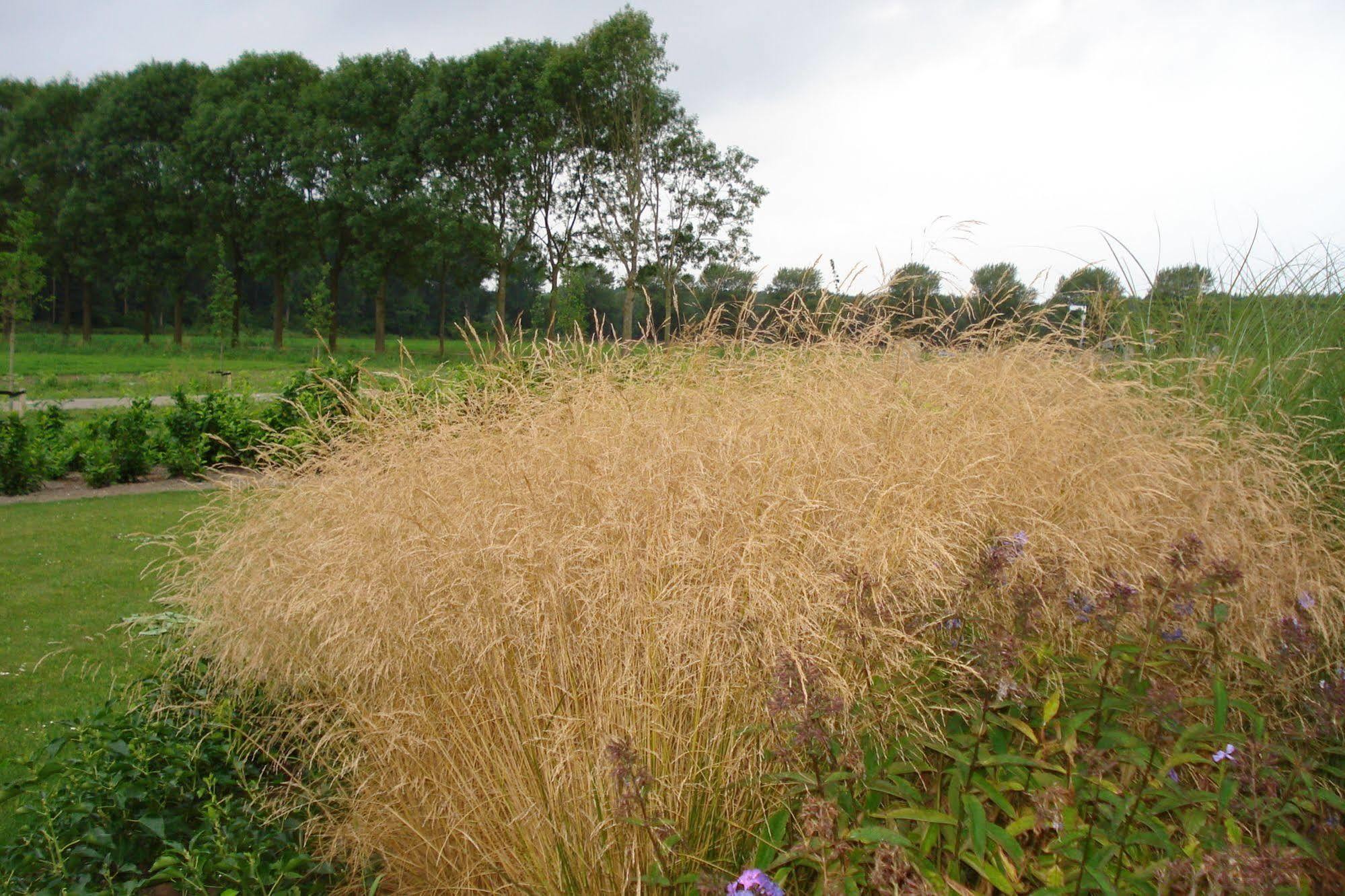 Lodgerie Het Groene Geheim Almere Extérieur photo