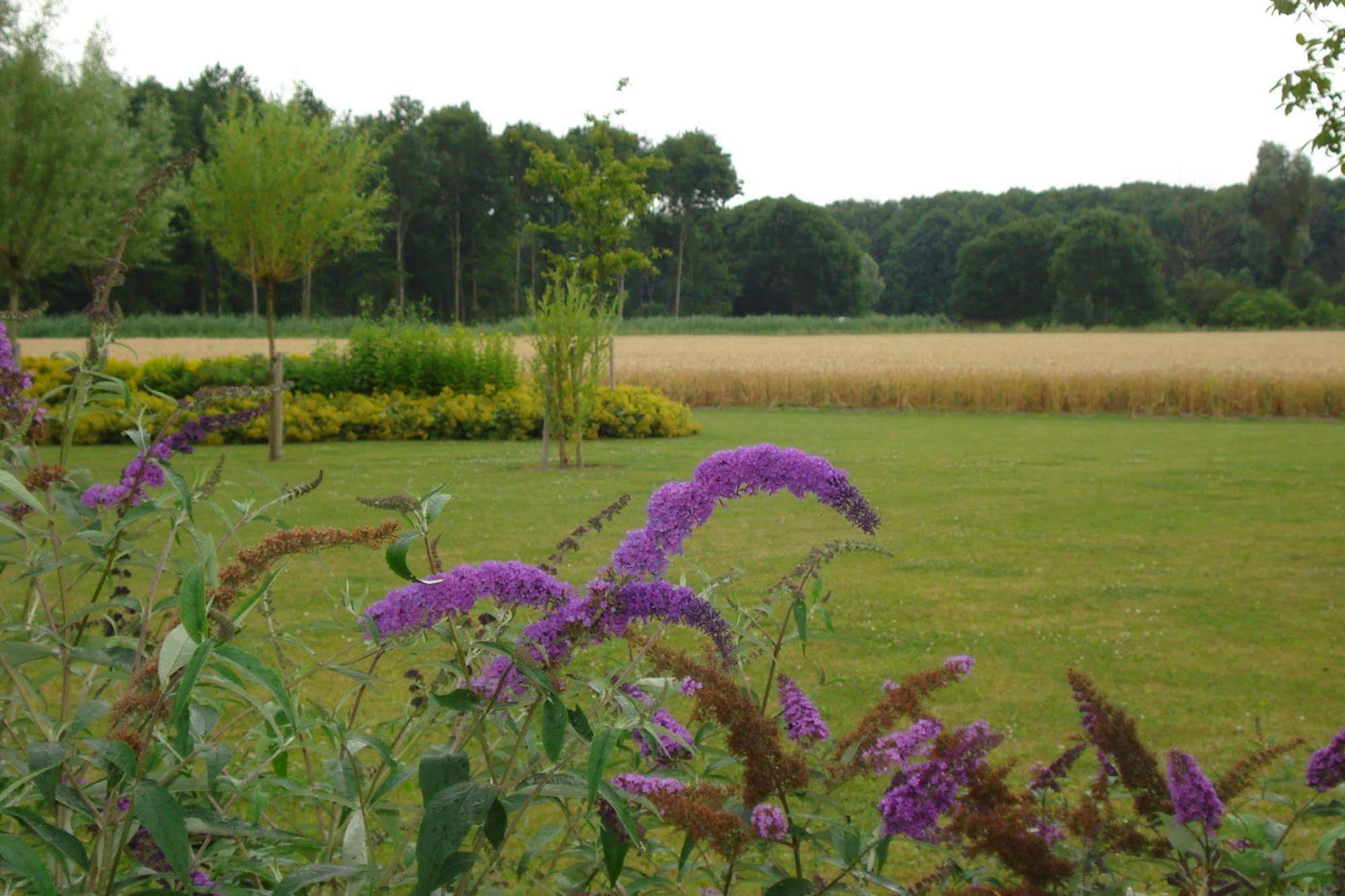 Lodgerie Het Groene Geheim Almere Extérieur photo