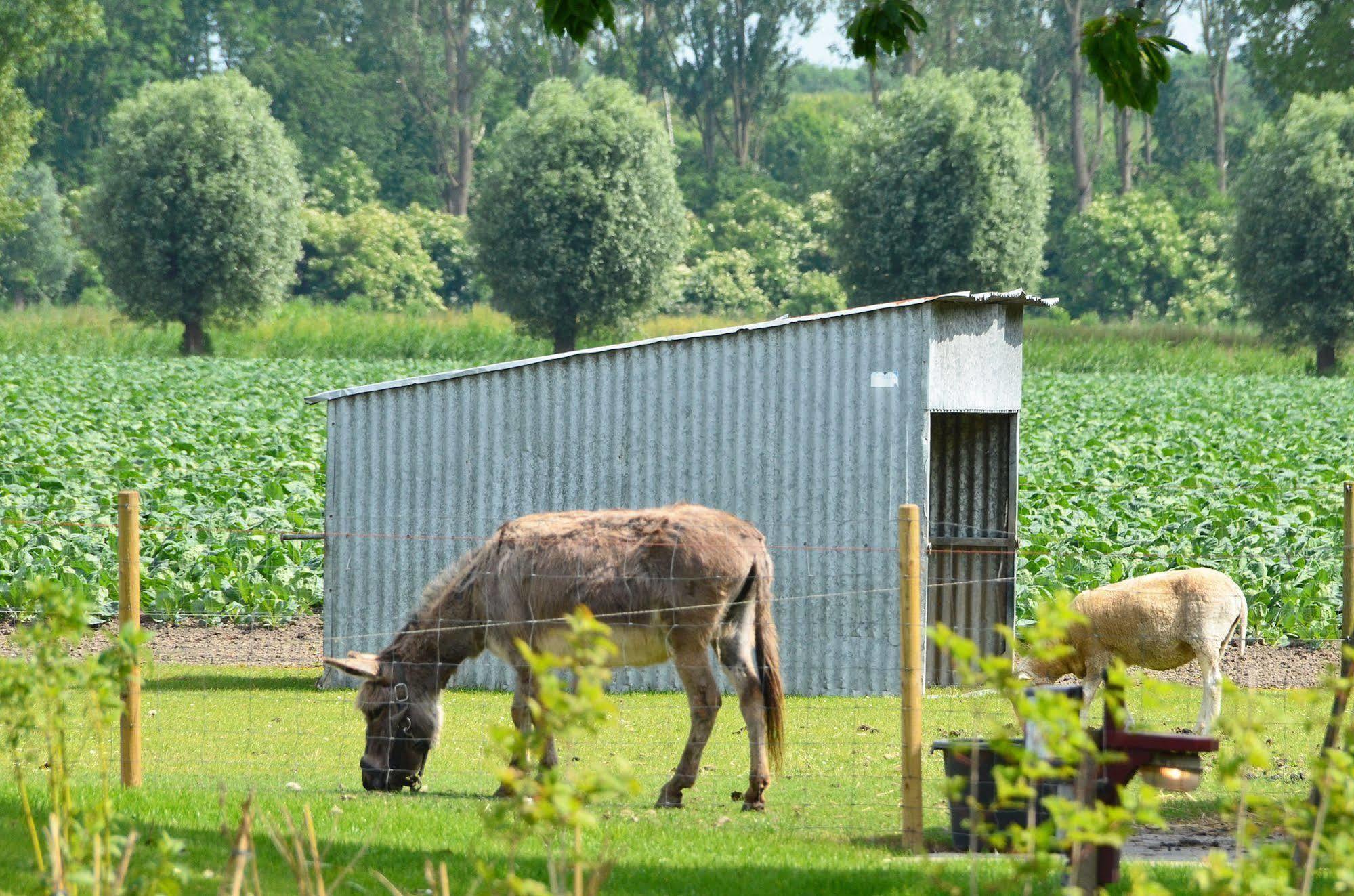 Lodgerie Het Groene Geheim Almere Extérieur photo